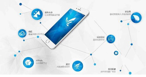 从零开始 转行学习软件开发的完整指南